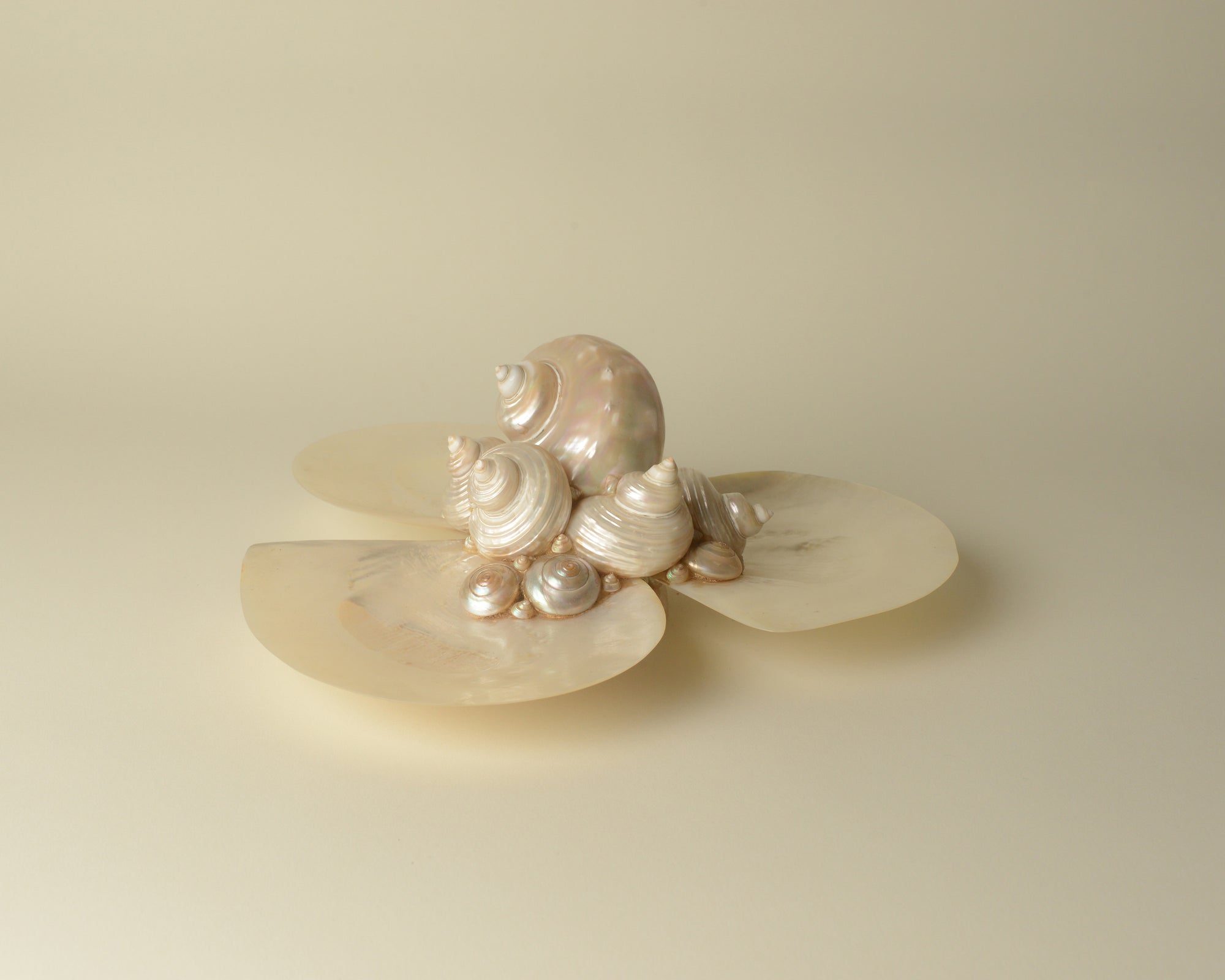 Large Folk Seashell Vide Poche.
